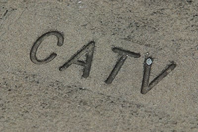 CATV