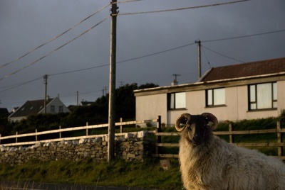 Ireland_FTTH.jpg