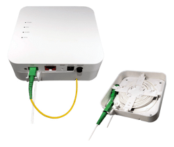 ont-back-slack-plate_image