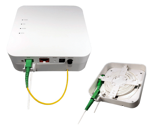 ont-back-slack-plate_image